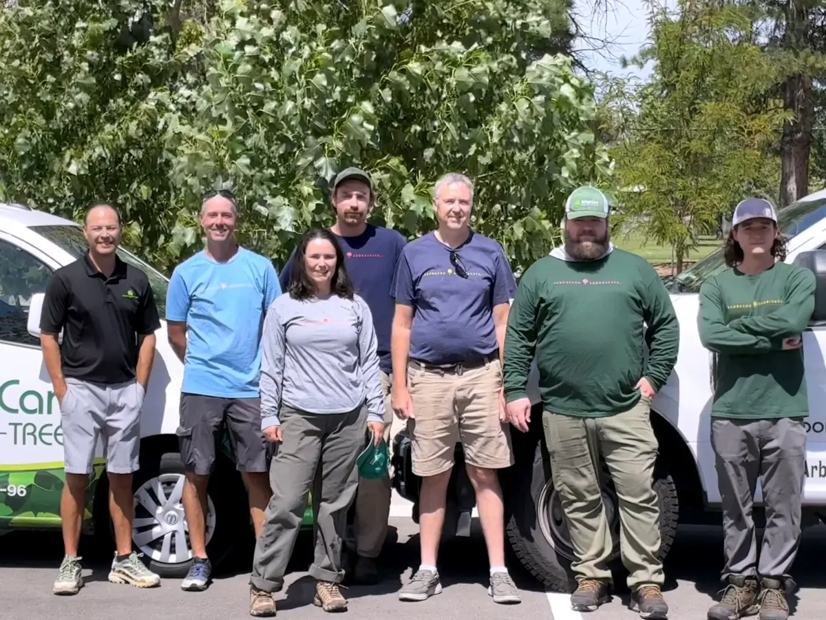 The ArborCare crew