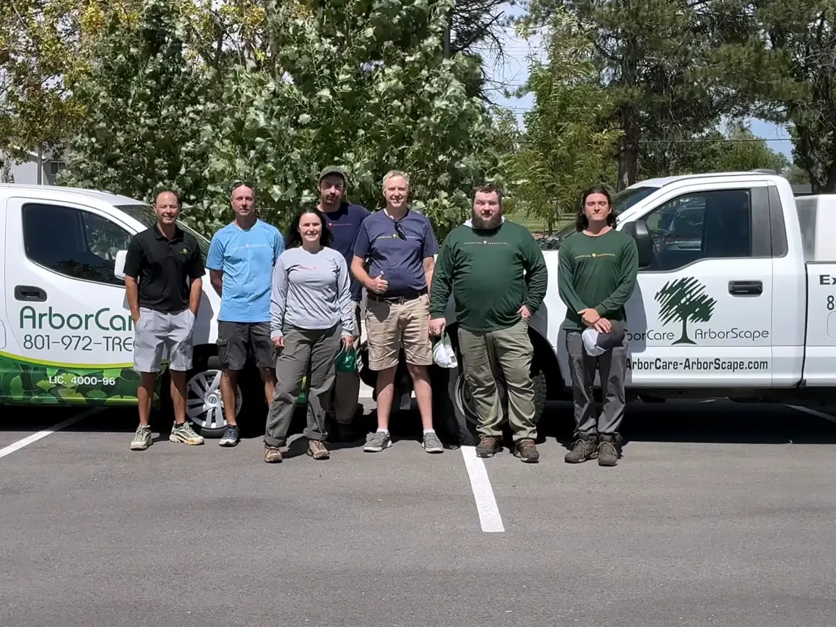 The ArborCare team in front of the trucks