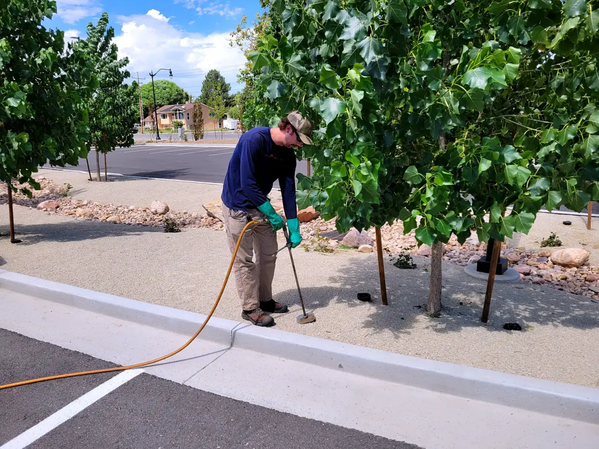 Soil drench applied evenly around the root zone
