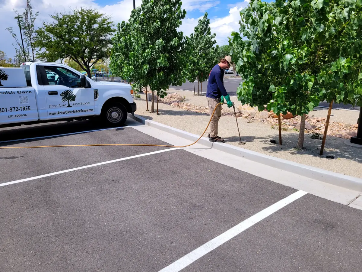 Root zone treatment on a commercial streetscape