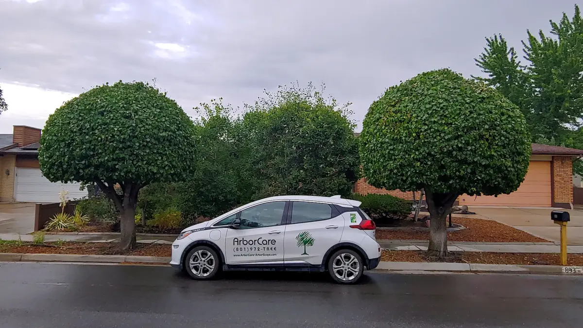 One of the ArborCare electric vehicles