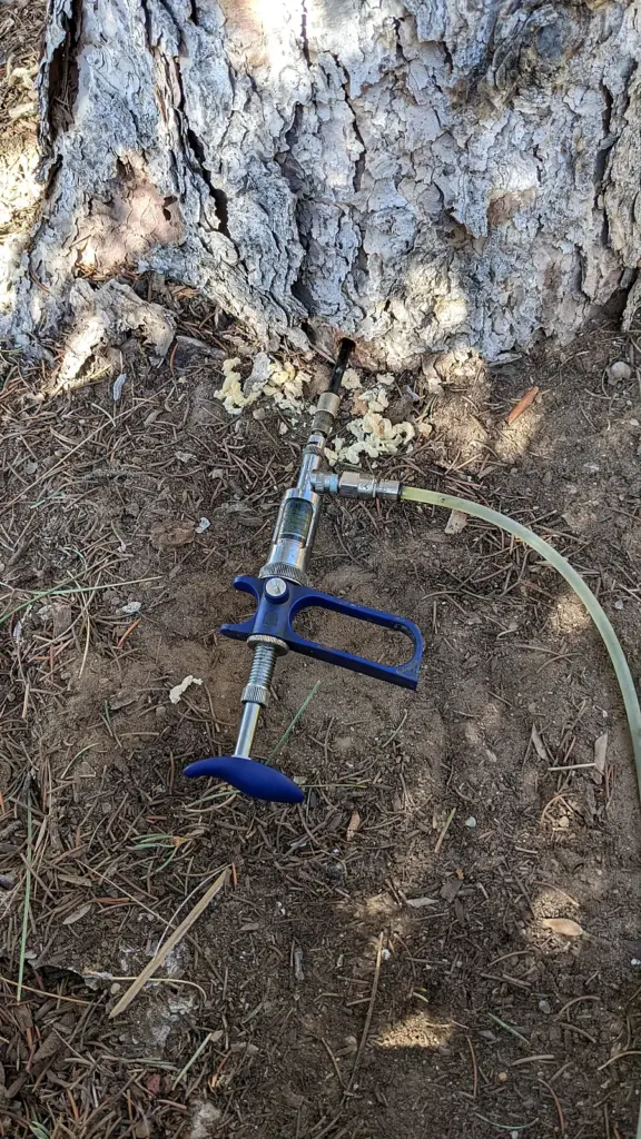 A micro injection needle placed into the base of a tree trunk
