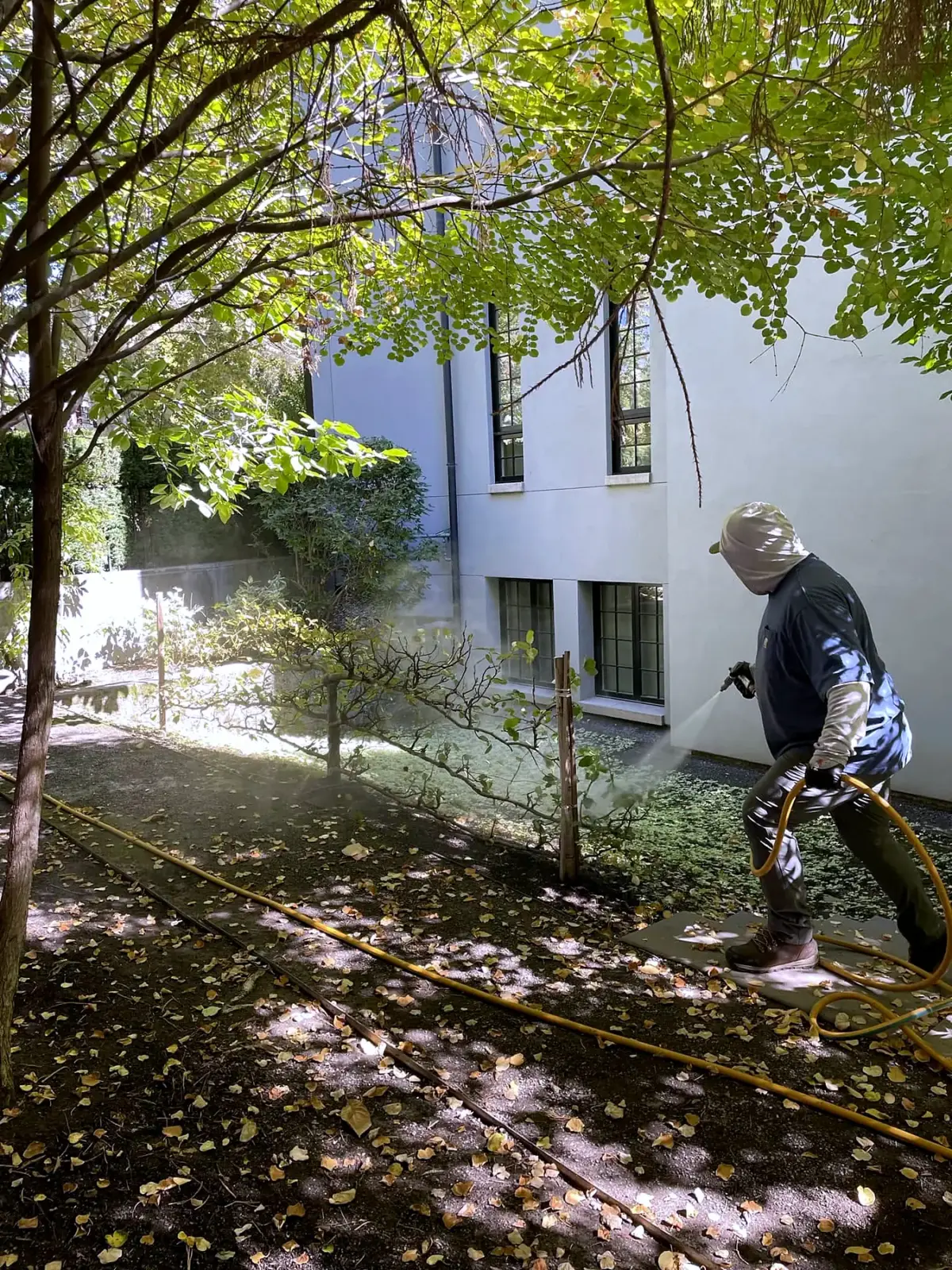 An ArborCare technician spraying shrubs on a slope beside a building