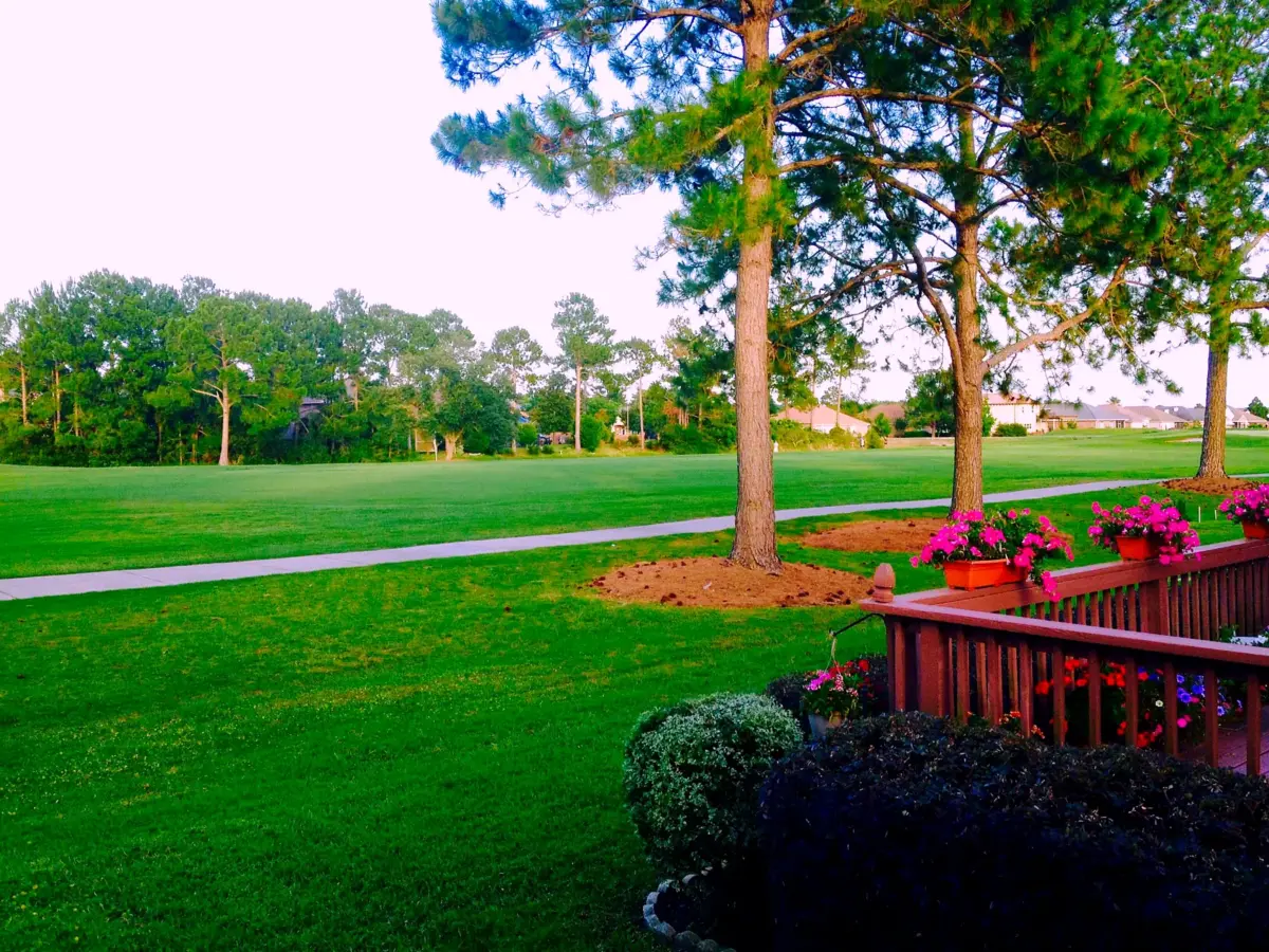 A residential yard with established shade trees