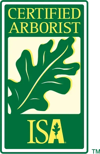 The ISA Certified Arborist plaque with its oak leaf emblem