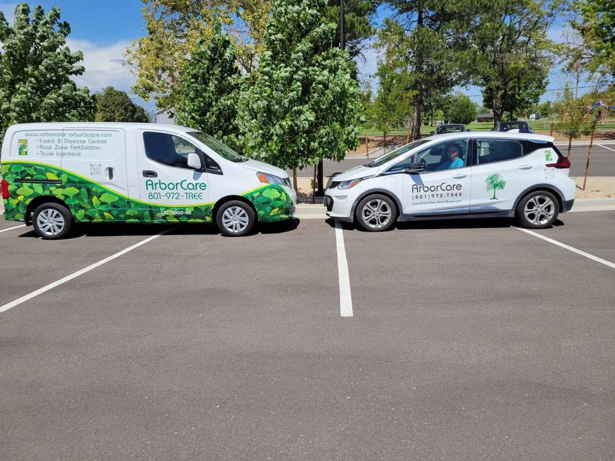 The ArborCare service van and electric car parked at a job site