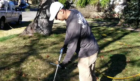 A technician applying a root zone soil drench in a park strip