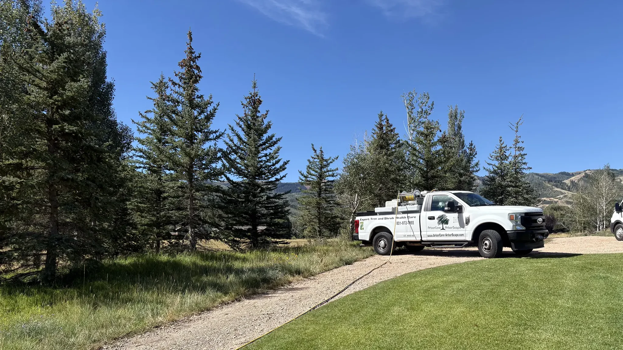 ArborCare-ArborScape service truck on a tree and shrub health care call beside a stand of Utah evergreens